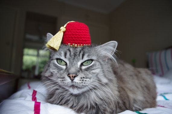 PURRFECT FEZ